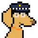 8117