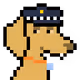 7601
