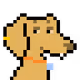 9069