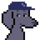 5428