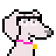 828