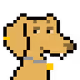 6646