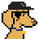 8004