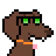 5204