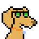 9037
