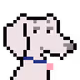 5290