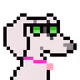 8562