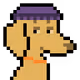 5337