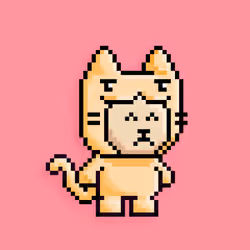 little cats  #7496