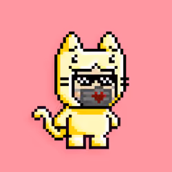 little cats  #10788
