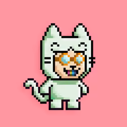 little cats  #14875