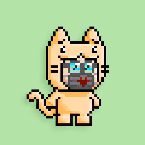 little cats  #11379