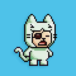 little cats  #12587