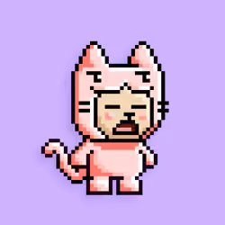 little cats  #12142