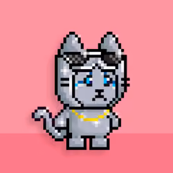 little cats  #14644