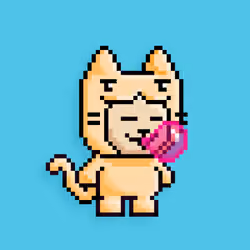 little cats  #22767