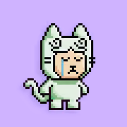 little cats  #20681