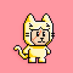 little cats  #21428
