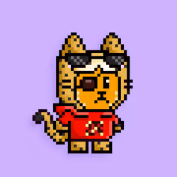little cats  #12704