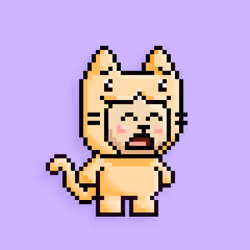 little cats  #27021