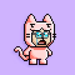 little cats  #6637