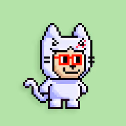 little cats  #13679