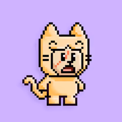 little cats  #14046