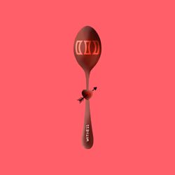 Concave Spoon #1121