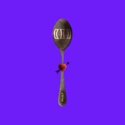 Concave Spoon #3485