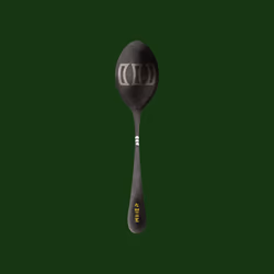 Concave Spoon #1593
