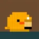 646