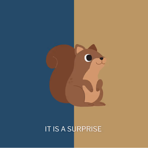 It Is A Surprise