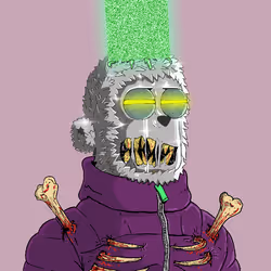 43