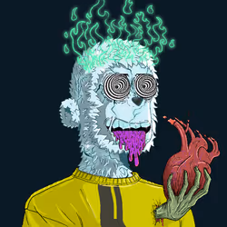 2555