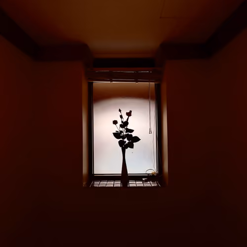 31