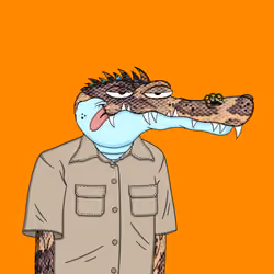 Later Gators #2339