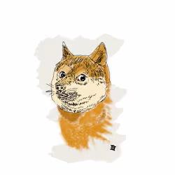 Doge a lie