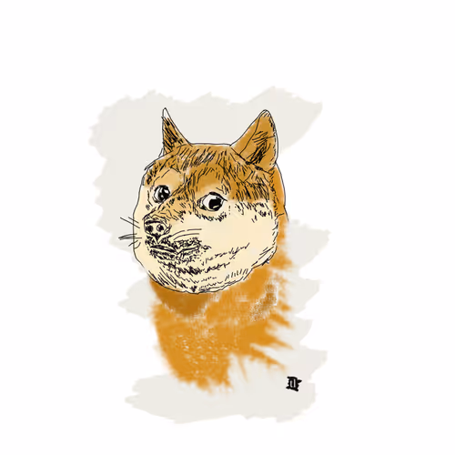 Doge a lie