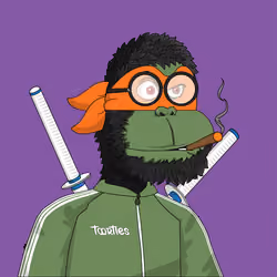 t00rtle #1055