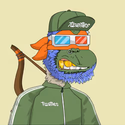 t00rtle #1009