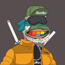 504