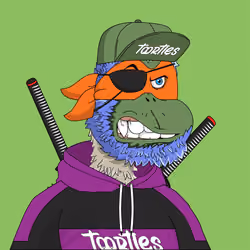 t00rtle #1324