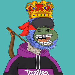 t00rtle #1456