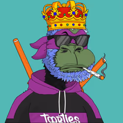t00rtle #829