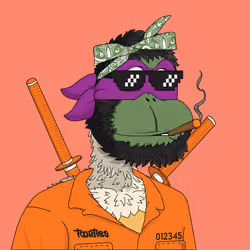 t00rtle #1222