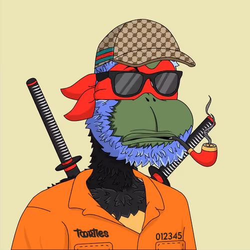 t00rtle #670