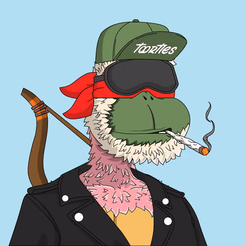 t00rtle #665
