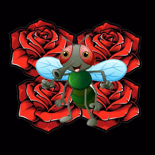 Flies And Roses