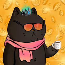 Rich Sad Cat #1399