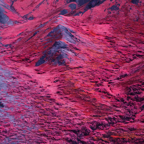 World Color